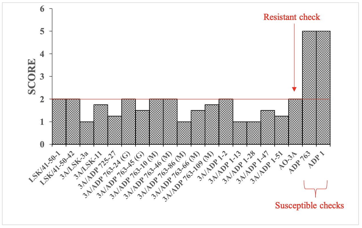 Figure 2 final report.png